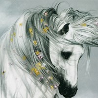Андрей's Portfolio